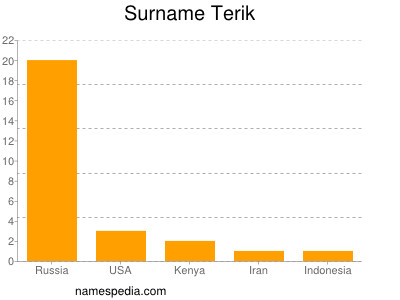 Surname Terik