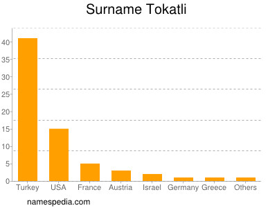 Surname Tokatli