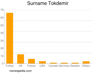 Surname Tokdemir