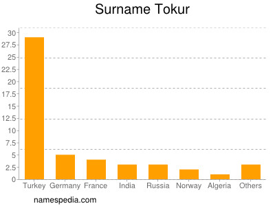Surname Tokur