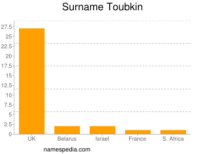 Surname Toubkin