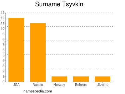 Surname Tsyvkin