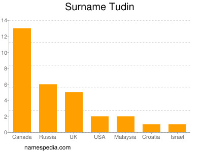 Surname Tudin