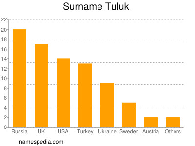 Surname Tuluk