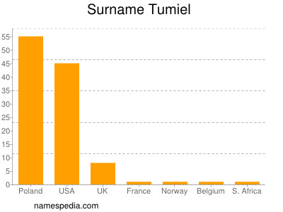 Surname Tumiel