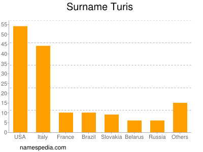 Surname Turis