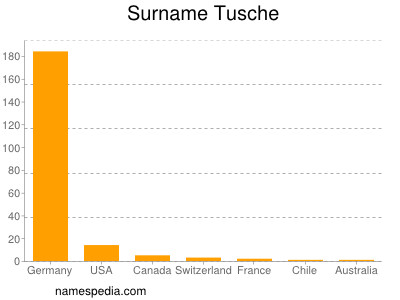 Surname Tusche