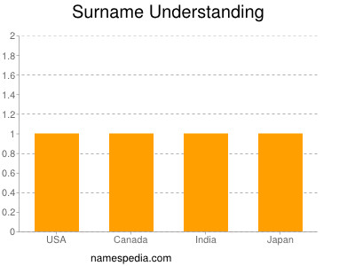 Surname Understanding