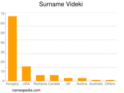 Surname Videki