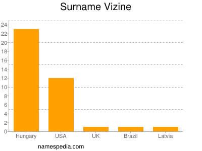 Surname Vizine