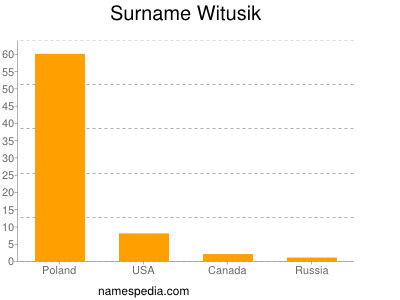 Surname Witusik
