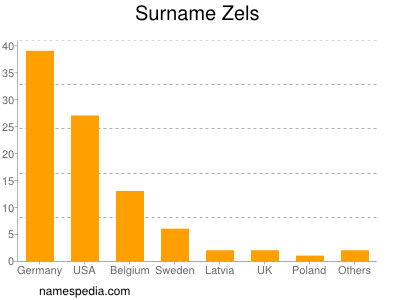 Surname Zels