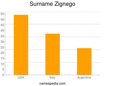 Surname Zignego