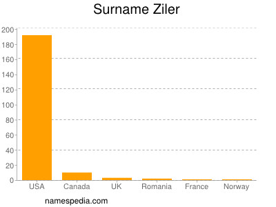 Surname Ziler