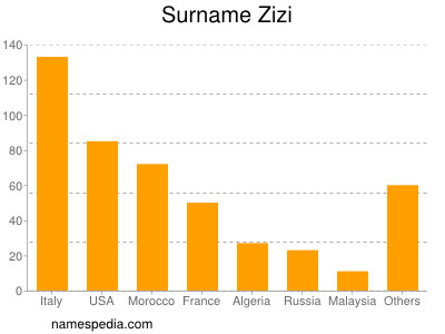 Surname Zizi