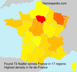 Surname Nadler in France