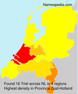 Surname Triel in Netherlands