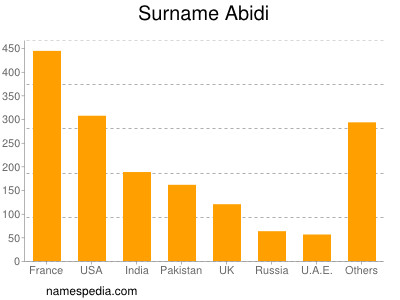 Surname Abidi