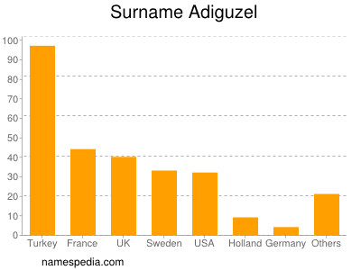 Familiennamen Adiguzel