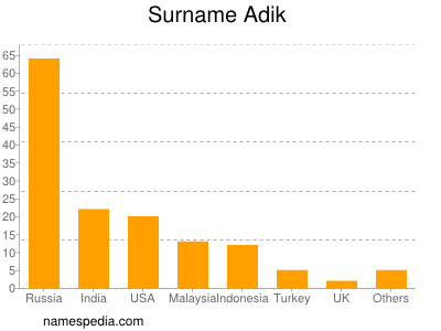 Familiennamen Adik