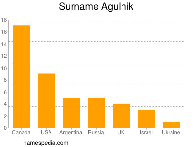 Surname Agulnik