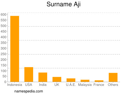 Familiennamen Aji