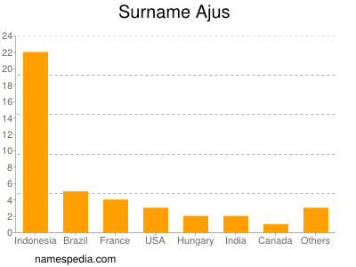 Familiennamen Ajus