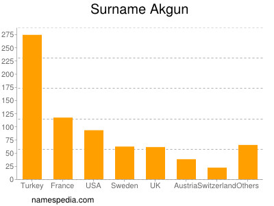 Familiennamen Akgun