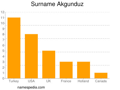 Familiennamen Akgunduz