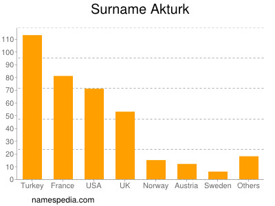 Familiennamen Akturk