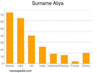 Familiennamen Aliya