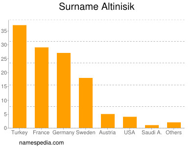 Familiennamen Altinisik