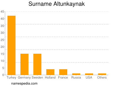 Familiennamen Altunkaynak