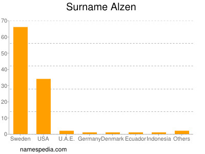 Familiennamen Alzen