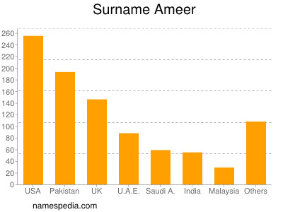 Surname Ameer