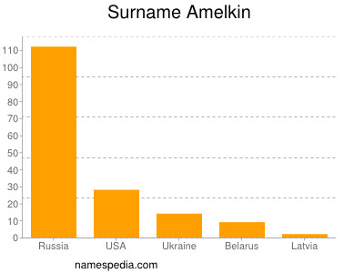 Familiennamen Amelkin