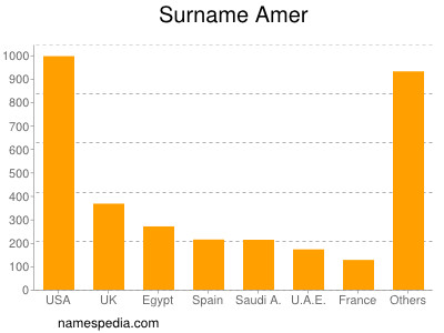 Familiennamen Amer