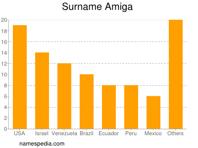 Surname Amiga