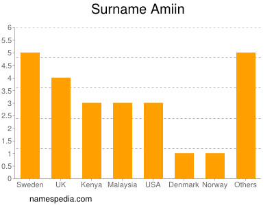 Familiennamen Amiin