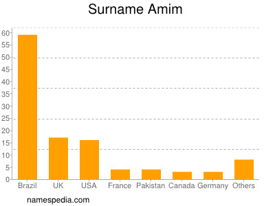 Familiennamen Amim