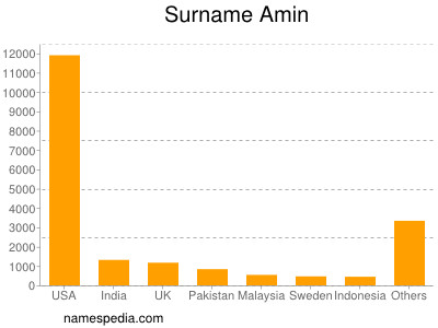 Familiennamen Amin