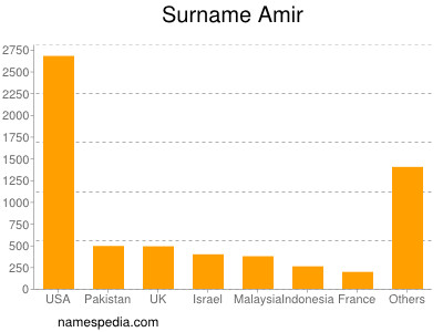 Familiennamen Amir