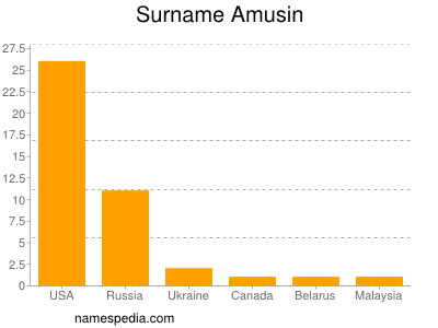 Familiennamen Amusin