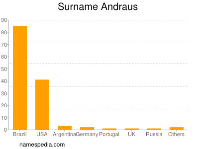 Familiennamen Andraus