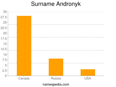 Familiennamen Andronyk