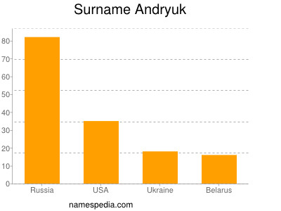 Familiennamen Andryuk