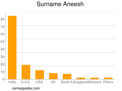 Familiennamen Aneesh