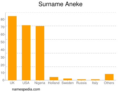 Familiennamen Aneke