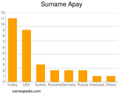 Surname Apay