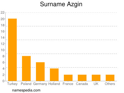 Surname Azgin